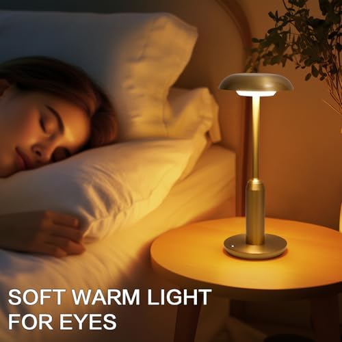 2 Pack Gold Rechargeable Cordless Table Lamps