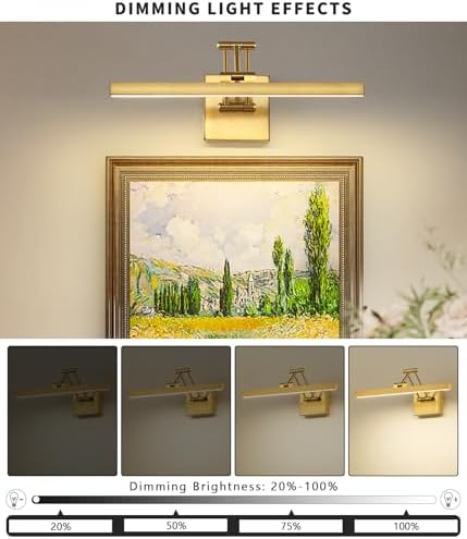 Hard-Wired Picture Light Dimmable LED Picture Lights for Paintings