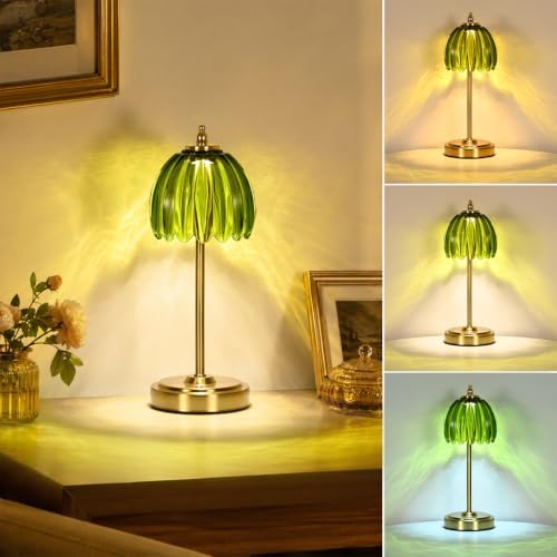 NewAoNaSen Glass Tulip Table Lamp, Cordless Rechargeable, Green