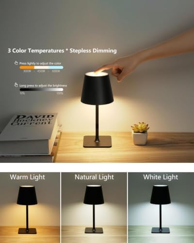 Fizrice Rechargeable Cordless Table Lamps, Black, 2 Pack