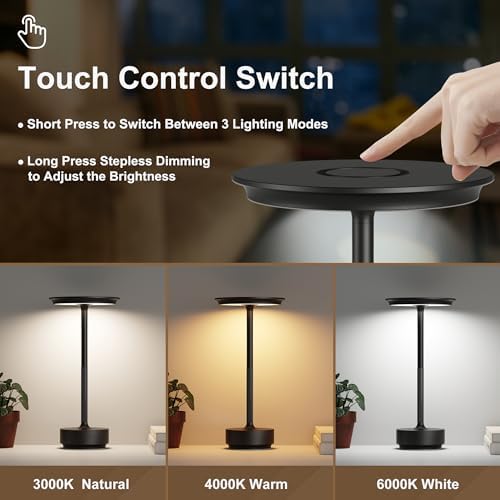2 Pack 5000mAh Rechargeable Cordless LED Table Lamps