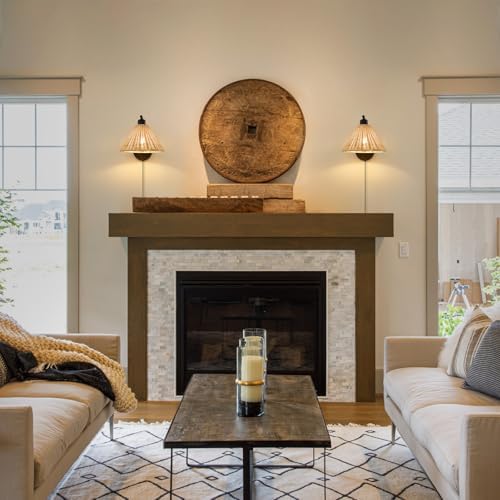 Black Rattan Plug-in Wall Sconces, Set of 2