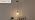Shenmoyl Pendant Light with Clear Scindapsus Glass Lmapshade, Brass
