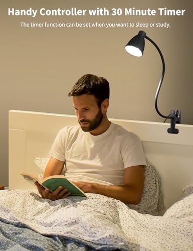 BOHON Desk Lamp, 5 Color Modes, Black
