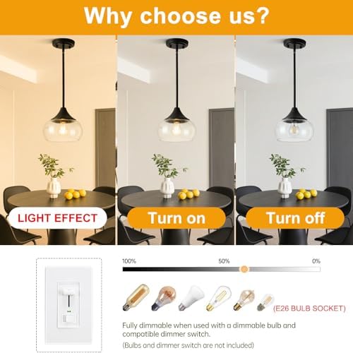 Black Pendant Light with 8.5-Inch Clear Glass Shade