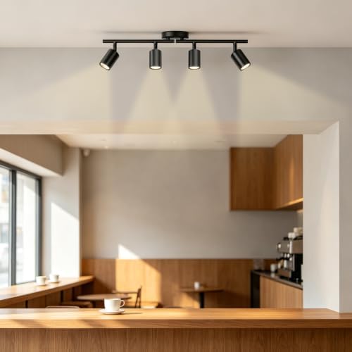 LED 4 Light Track Lighting Kit, Black Ceiling Spotlights, Modern Track