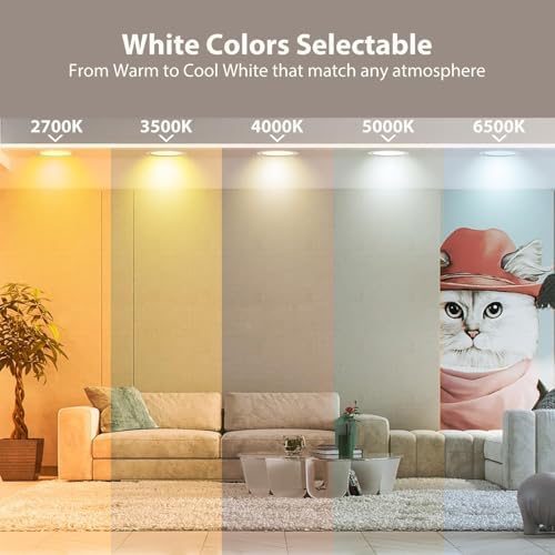 DAYBETTER Smart 6 Inch Recessed Lighting, 4 Pack