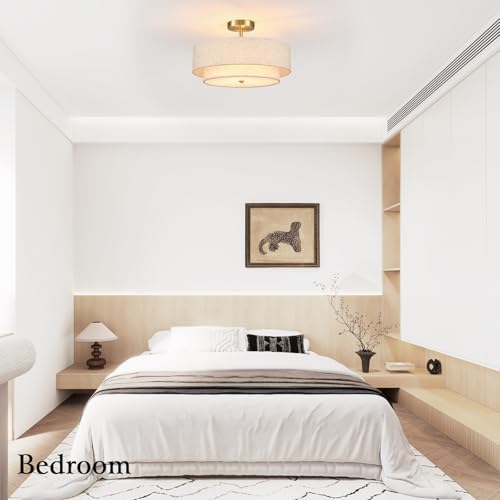 Semi Flush Mount Ceiling Light Fixture