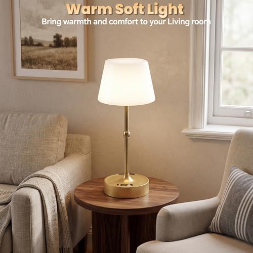 Rechargeable Cordless Touch Table Lamp with Stepless Dimming