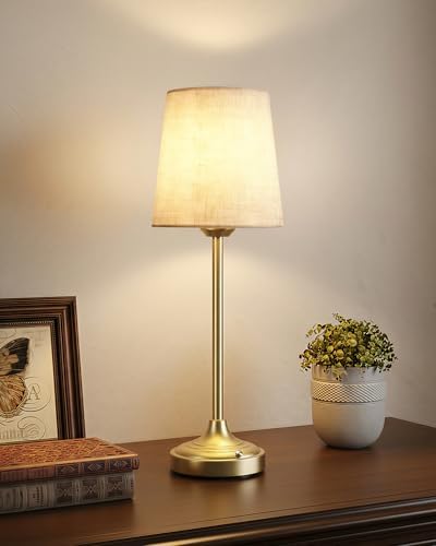 Battery Operated Lamp, 8000mAh, Ambient Light, Touch Control
