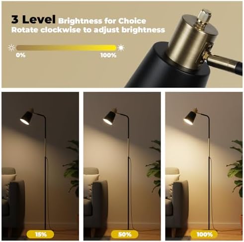 LALISU Industrial Floor Lamp