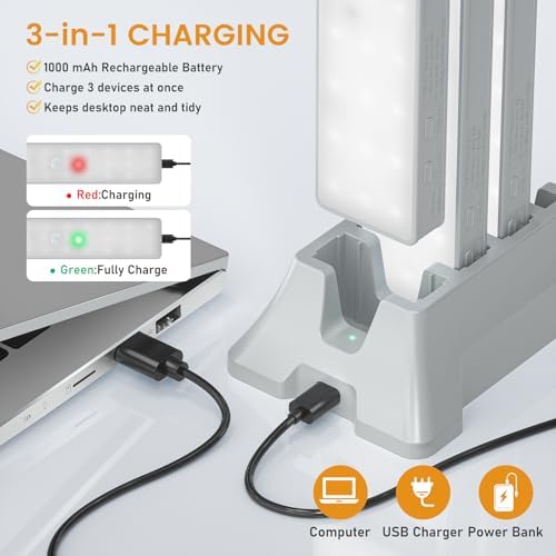 Racokky Under Cabinet Lighting with Remote, Motion Activated Closet