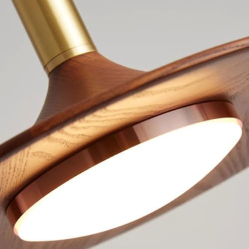 Gold Farmhouse LED Pendant Light, Warm Light