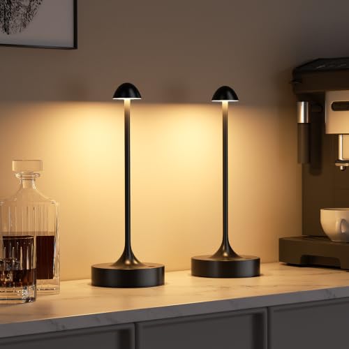 Cordless Rechargeable Table Lamps — Black, Set of 2 - Field & Lumen Lighting