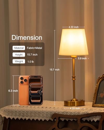 EppieBasic Gold Rechargeable Vintage Table Lamp