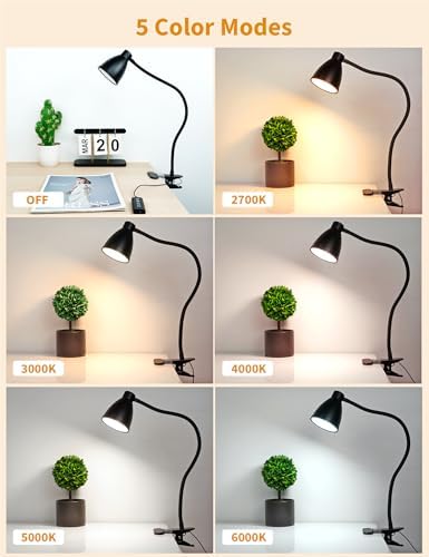 BOHON Desk Lamp, 5 Color Modes, Black