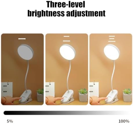 Adjustable Clamp Study Lamp, USB Rechargeable