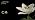 CLOUDY BAY 4-Head 3-Color LED Track Lighting Kit, White