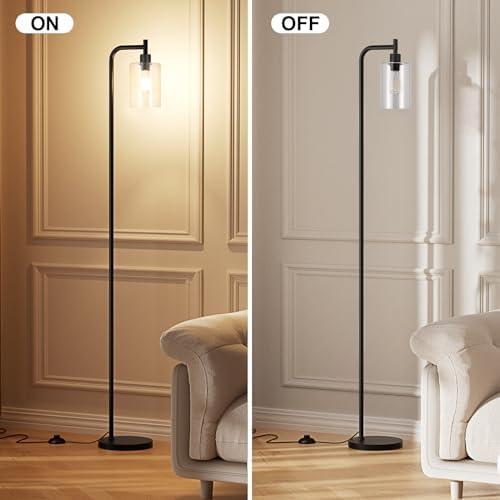 Ziisee Black Industrial Floor Lamp with Glass Shade