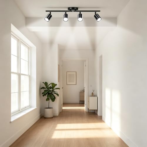LED 4 Light Track Lighting Kit, Black Ceiling Spotlights, Modern Track