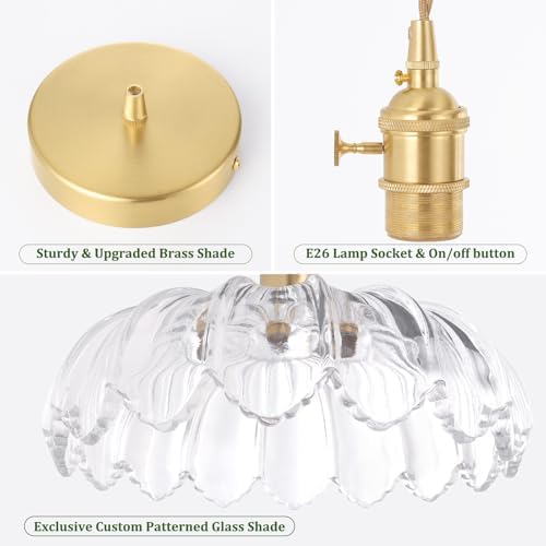 Shenmoyl Pendant Light with Clear Scindapsus Glass Lmapshade, Brass