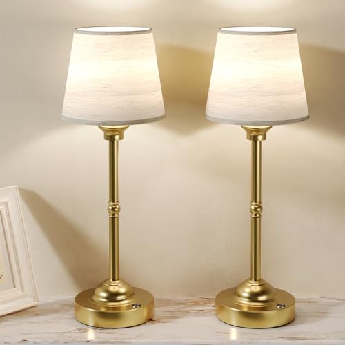 CHLORANTHUS 2 Pack Cordless Rechargeable Table Lamps