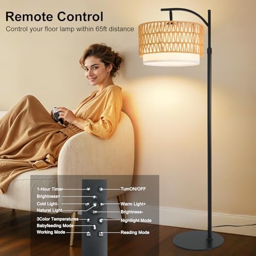 Rustic Black Farmhouse Floor Lamp, 12W LED