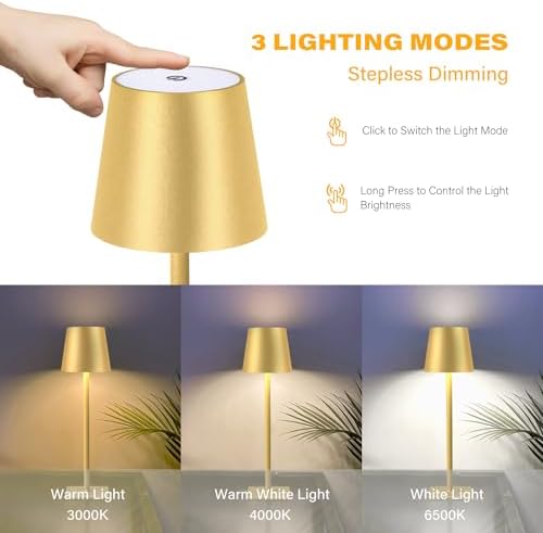 CHLORANTHUS 2 Pack Cordless Table Lamps, 5000mAh