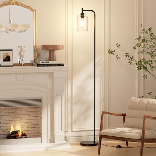 Ziisee Black Industrial Floor Lamp with Glass Shade