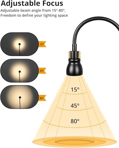 Zoomable Clip-On Light, 3 Color Temperatures, Dimmable