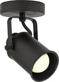 Industrial Adjustable Wall Lamp, Black