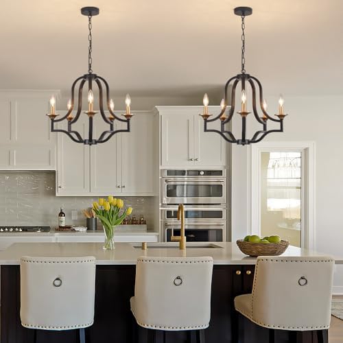 Black and Gold Chandelier Light Fixture