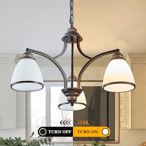 3-Light Rustic Chandelier with Frosted Glass Shades