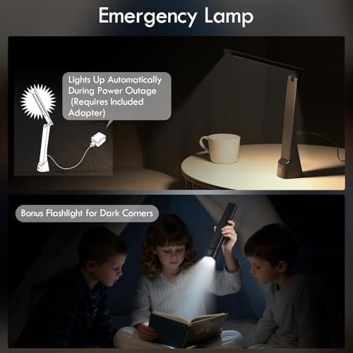 WILIT Rechargeable LED Desk Lamp, 3 Colors