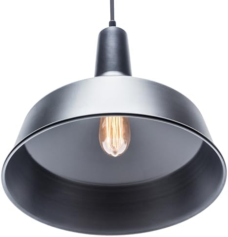 GLOBE Electric 65155 1-Light Pendant Light, Matte Black