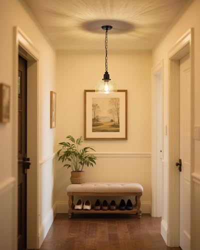 EAPUDUN Farmhouse Pendant Light, 1-Light, Bronze