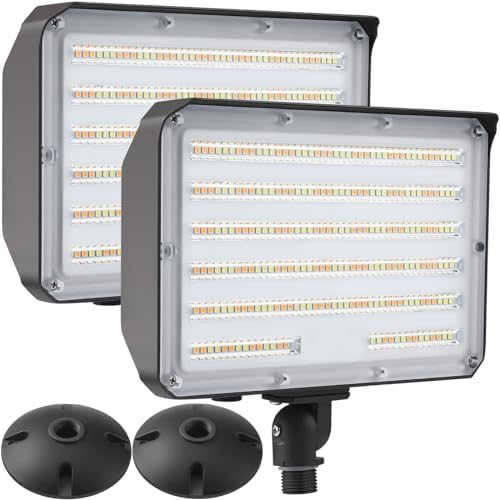 2-Pack Color-Selectable 100W LED Flood Lights