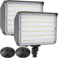 2-Pack Color-Selectable 100W LED Flood Lights