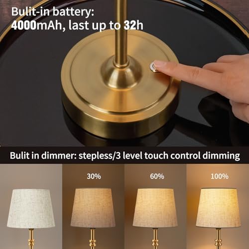 ONEWISH Gold 4000mAh Rechargeable Table Lamp