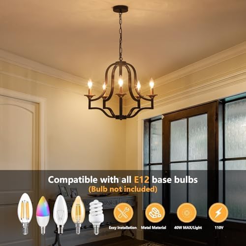 Black and Gold Chandelier Light Fixture