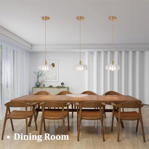 Shenmoyl Pendant Light with Clear Scindapsus Glass Lmapshade, Brass