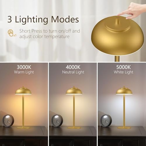 2 Pack Cordless Rechargeable LED Table Lamps, Gold