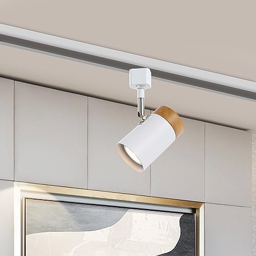 TeHenoo H Type 6 Track Lighting Heads