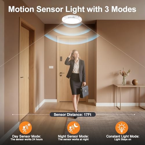 Rechargeable Motion Sensor Ceiling Light, Remote