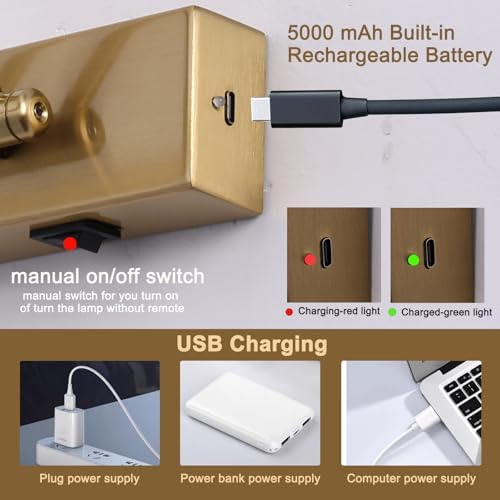 Rechargeable Battery Picture Light, Brass, 16”