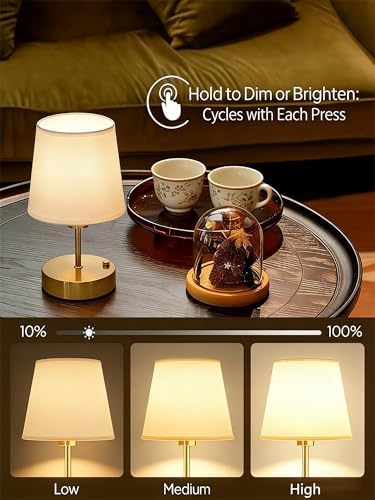 Gold Portable Cordless Rechargeable Table Lamp