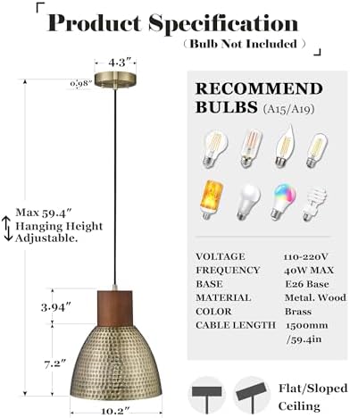 ELYONA 10.2" Hammered Pendant Light, Antique Gold