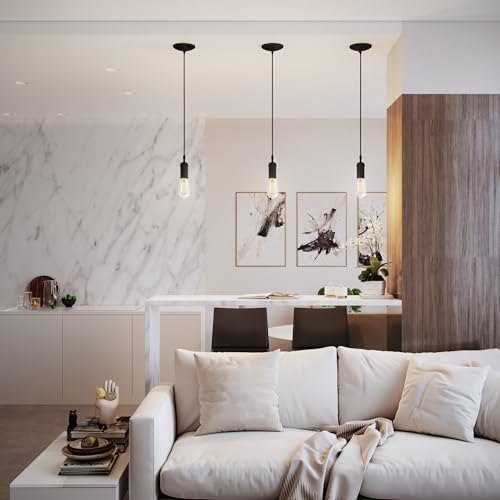 Globe Electric 64906 1-Light Pendant, Matte Black