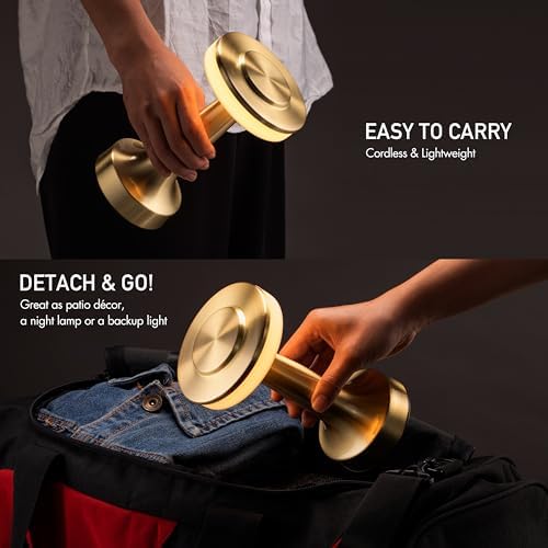 O'Bright Cordless Rechargeable LED Mushroom Table Lamp, Gold