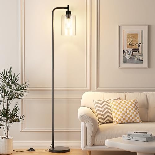 Ziisee Black Industrial Floor Lamp with Glass Shade